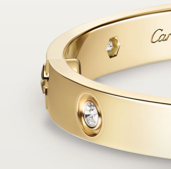 CARTIER LOVE YELLOW GOLD 10 DIAMOND BRACELET - Ảnh 5