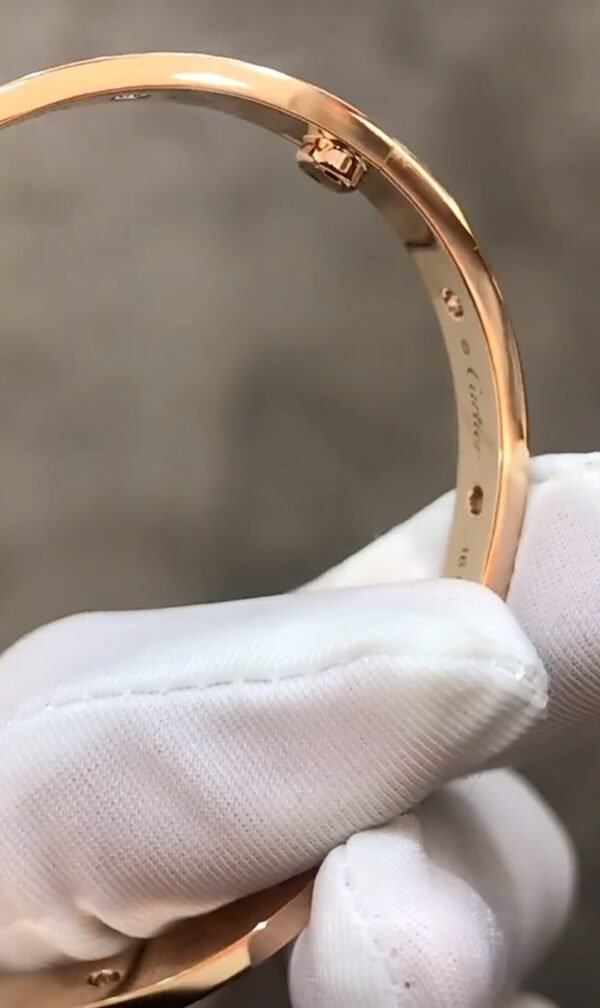 CARTIER LOVE ROSE GOLD 10 DIAMOND BRACELET - Ảnh 3