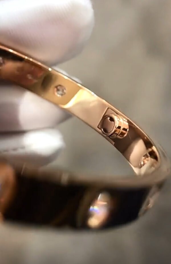 CARTIER LOVE ROSE GOLD 10 DIAMOND BRACELET - Ảnh 5