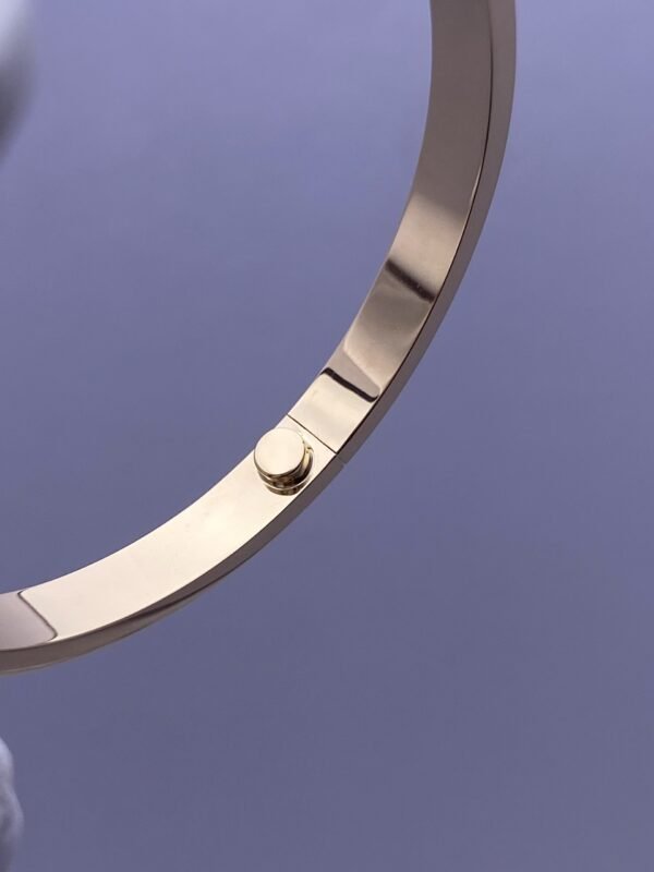 CARTIER LOVE YELLOW GOLD CLASSIC MODEL BRACELET - Ảnh 6