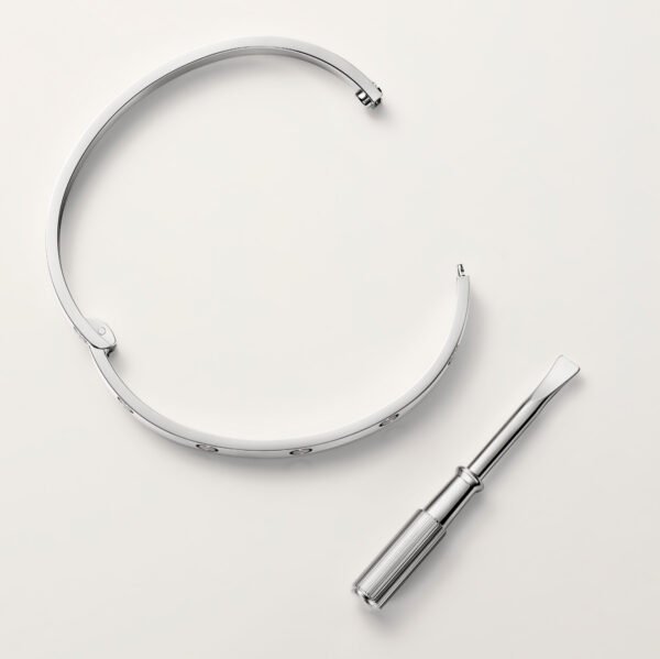 LOVE BRACELET,18K WHITE GOLD, MEDIUM MODEL - Ảnh 5